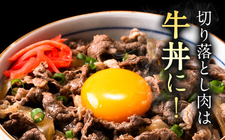 牛肉 肉 おつかれママ牛 ホルスタイン 牛肉セット ホルスタイン牛肉 切り落とし 500g×2 1kg 株式会社こはら《60日以内に出荷予定(土日祝除く)》岡山県産 岡山県 笠岡市 切り落とし肉 セッ