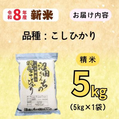 ふるさと納税 飯山市 【先行予約】《 令和8年産 新米 》 沼田さんちの満点 こしひかり 精米 5kg(5kg×1袋) |  | 01