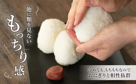 ゆうだい21 5kg 米 お米 精米 白米 こめ コメ 令和7年産 令和7年 福島県 郡山市