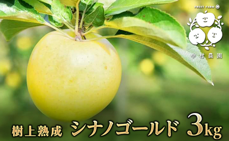 【2026年産】樹上熟成　シナノゴールド 3kg 