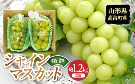 《先行予約》令和6年産 山形県 高畠町 シャインマスカット 箱詰 約1.2kg(2房) 2024年9月下旬から順次発送 ぶどう ブドウ 葡萄 マスカット 大粒 種なし 高級 くだもの 果物 フルーツ 