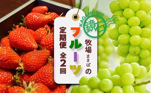 
            【2026年から発送開始】鏡石町 まきばのフルーツ定期便（いちご 約500g・シャインマスカット2房） イチゴ 苺 ブドウ ぶどう 福島県 鏡石町 F6Q-419
          