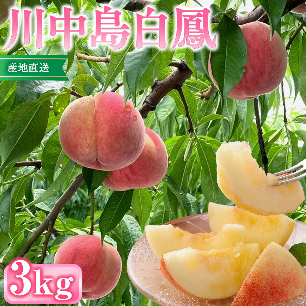 【ふるさと納税】前島農家　川中島白鳳約3kg（8個～12個） | 桃 フルーツ 果物 旬 人気 おすすめ ギフト プレゼント 送料無料 長野県 長野市 信州 信濃 ふるさと納税
