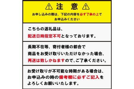 服 藍染 シャツ オープン カラー L サイズ 本藍染 シャツ 香川県 シャツ さぬき市