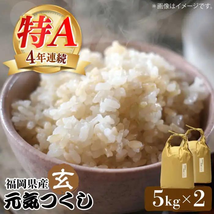 米 【特A】「元気つくし」5kg×2袋 [10kg] [玄米] [ABDF031] 米 ご飯 ごはん こめ コメ おにぎり