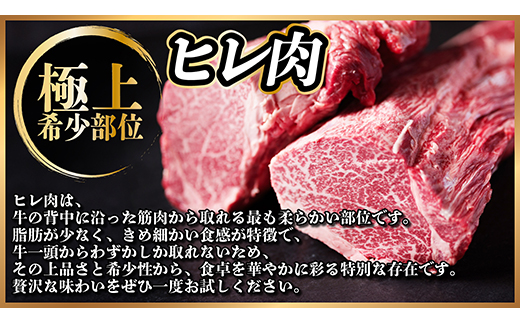 【毎月定期便】飛騨牛 ヒレ1本(約4～5kg)【シャトーブリアン＆ヒレ】冷蔵便全3回【配送不可地域：離島】