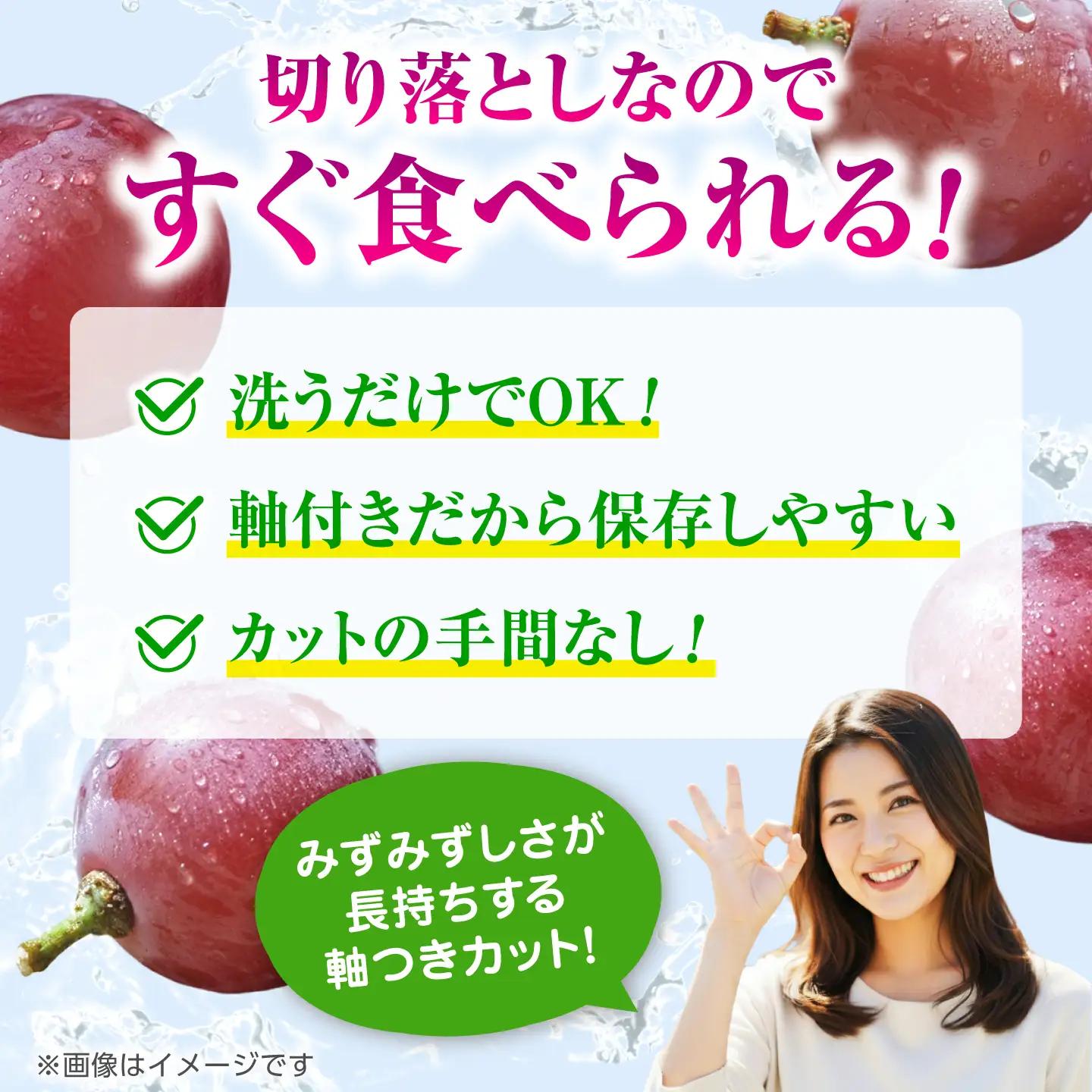 【2027年発送先行予約】【2回定期便】　訳あり クイーンニーナ ぶどう 切り落とし 約700g  【合同会社 社方園】[ZBZ044]