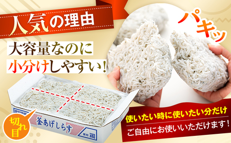 訳あり しらす 2kg 【1箱×2】 訳あり しらす 人気