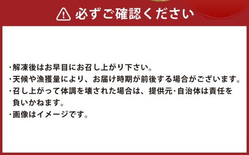 北海道産 【 骨なし切身 】 活〆ブリ切身セット3D冷凍 約600g（300g程度×2パック） 【 2026年7月上旬より順次発送予定 】 鰤 切身 骨 一口サイズ 照り焼き 竜田揚げ 冷凍 魚 魚類