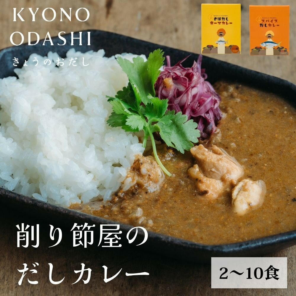 【ふるさと納税】【きょうのおだし】削り節屋のスパイスカレー 2～10食入［ 京都 削り節屋 おだしのプロ スパイスカレー 人気 おすすめ 和風カレー おいしい ギフト プレゼント お取り寄せ 通販 送料無料 ふるさと納税 ］