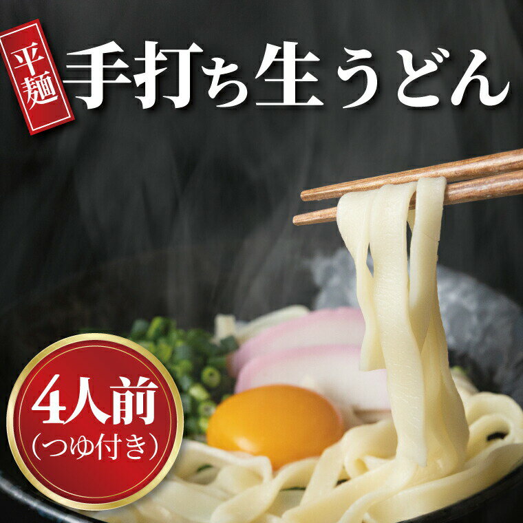【ふるさと納税】手打職人集団むげん「手打ち生うどん」（4人前つゆ付きセット）〈人気 麵 うどん 冷凍うどん 平打ち麵 もちもち モチモチ 生麵 国産 和食 セット ランチ 自宅用 正月 年末年始 夏休み 冬休み〉