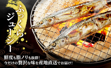 先行予約 刺身用 鮮さんま 2kg（16～20尾）産地直送 秋刀魚 サンマ