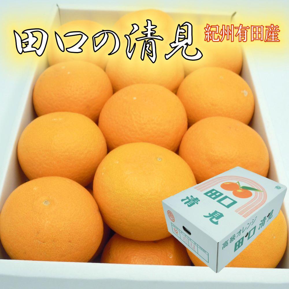 田口の清見オレンジ 秀品 約5kg L～3L（30玉～18玉） サイズおまかせ 化粧箱入り【2026年2月26日～2026年3月31日頃より順次発送】