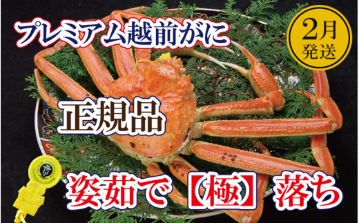 越前がに「極落ち」 × 1杯 桐箱入り！越前の至宝 最高ランクのプレミアム越前がに【雄 ズワイガニ ずわいがに 姿 生 ボイル 冷蔵 福井県】【2月発送分】【生でお届け】希望日指定可 備考欄に希望日をご記入ください [e37-x012_02a]