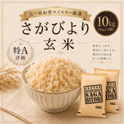 ふるさと納税 鳥栖市 【玄米】さがびより10kg(鳥栖市)