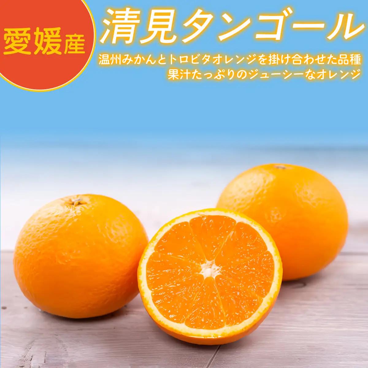 Premium清見ジュース（2本セット）※北海道・沖縄・離島への配送不可 【ふるさと納税 人気 おすすめ ランキング 柑橘 みかん ミカン フルーツ ジュース みかんジュース ミカンジュース オレンジ