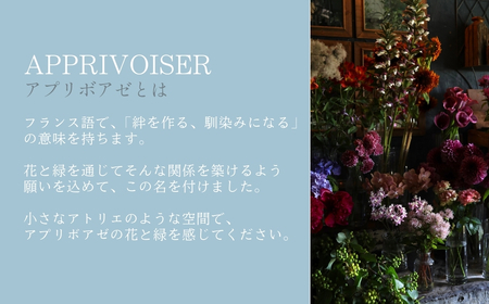 【定期便】季節の切り花セットM（６ヶ月間毎月お届け）
