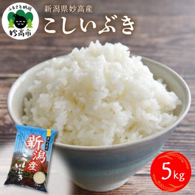 ふるさと納税 妙高市 新潟県妙高産こしいぶき5kg【順次発送】