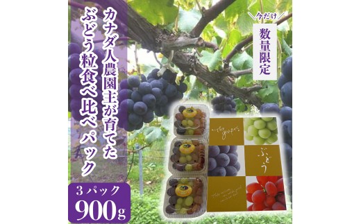 ぶどう粒食べ比べパック 約900g(3パック)【先行予約・数量限定】カナダ人農園主 ぶどう ブドウ マスカット フルーツ 果物 くだもの 産地直送 世羅 ラピアビンヤード【2026年9月下旬以降順次発送】 A021-09