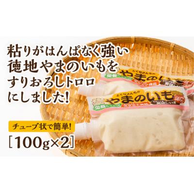 ふるさと納税 山口市 徳地やまのいものすりおろしトロロ　100g×2個 E060