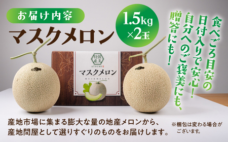 【先行予約】マスクメロン 2玉 メロン めろん マスクメロン フルーツ 果物 愛知県 田原市 渥美半島 お取り寄せ スイーツ ギフト 贈り物 プレゼント 贈答 贈答用 ニュー渥美 観光 1玉 2玉 3