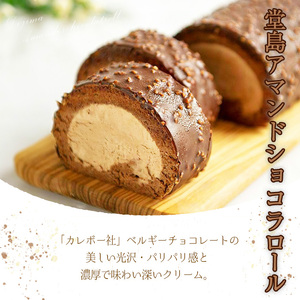 ＜数量限定＞ 堂島バニラロール・堂島アマンドショコラロールセット(計2本) ふるさと納税 箕面市 特産品 ロールケーキ 有名店 食べ比べ セット 堂島バニラロール 堂島アマンドショコラロール 2本 ス