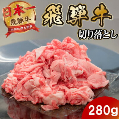 【ふるさと納税】飛騨牛 切り落とし280g 養老ミート (肉じゃが・お弁当・炒め物用)【配送不可地域：離島】【1746363】