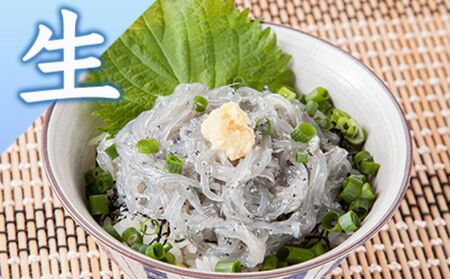 生しらす 釜揚げしらす セット  【 とびっちょ YTB003 】