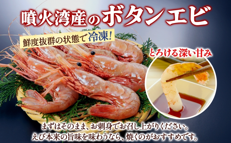北海道 噴火湾産 冷凍ボタンエビ 中サイズ 400g 17～20尾 ボタンエビ エビ えび 海老 北海道産 旬 ぼたんえび 刺身 牡丹海老 海鮮 魚介 甲殻類 味噌汁 鍋 海鮮丼 冷凍 洞爺湖町
