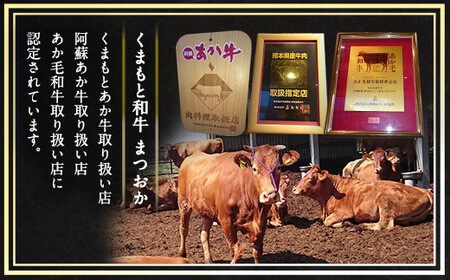 ＜ R8年熊本地震復興支援 ＞くまもとあか牛 焼肉 セット 合計1000g 2種 モモ ホルモン