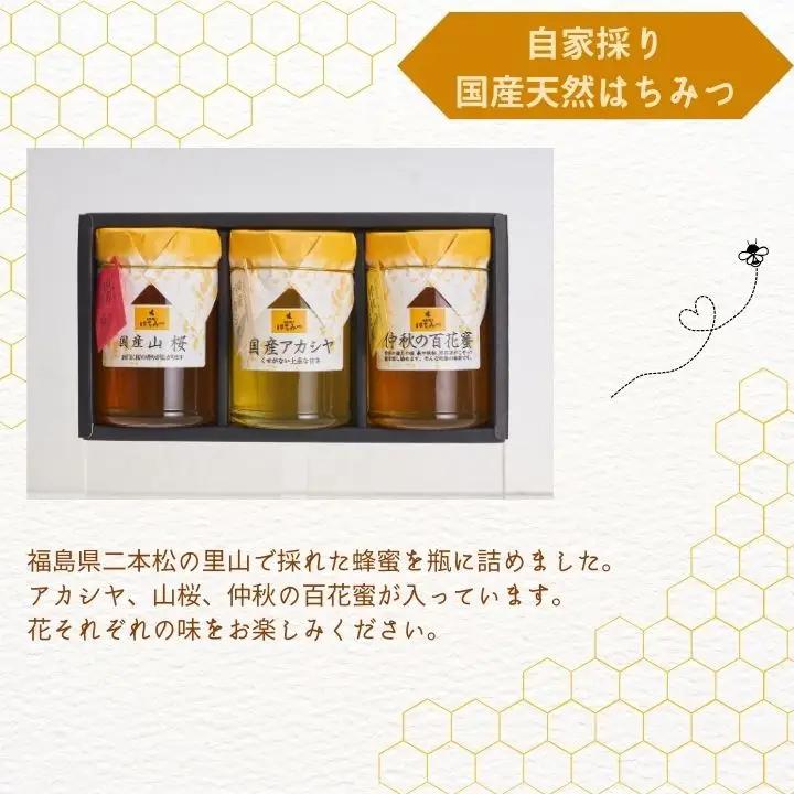 国産天然はちみつ 3本セット(220g×3) | ハチミツ 蜂蜜【株式会社渡辺養蜂場】
