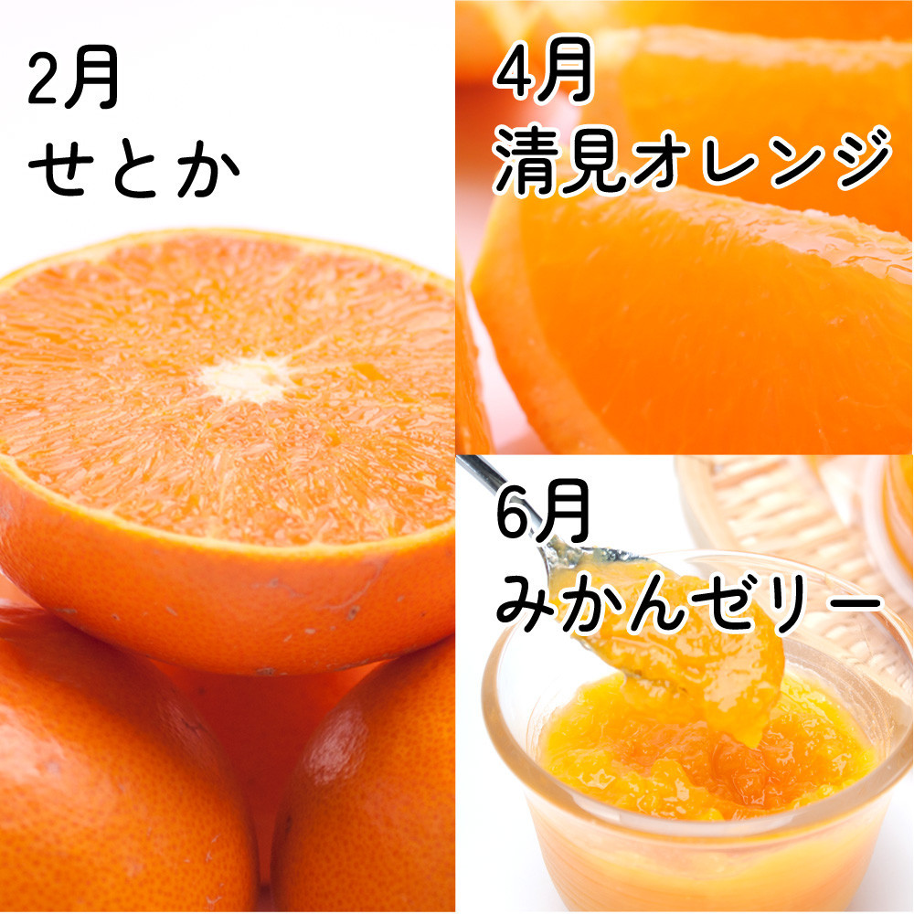 家庭用 柑橘定期便S（偶数月）全6回 ［IKE302］BB90211_イメージ3