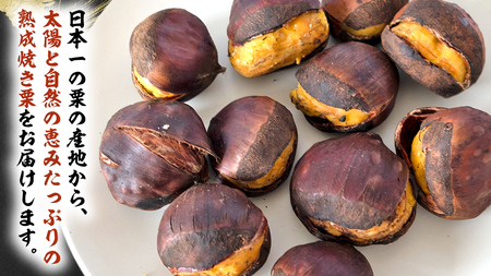 《 先行予約 》《 吉原農場 の 完熟栗 》熟成 焼き栗 ( 200g × 5袋 ) 完熟 栗 くり クリ 栗ごはん 果物 フルーツ 贈答 ギフト 旬 秋の味覚 秋 冬 正月 おせち《 2025年10