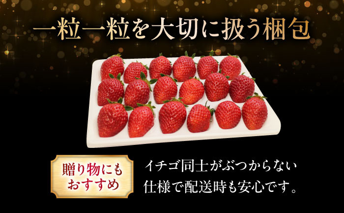 いちご 贈答 ギフト 特産品 産地直送 取り寄せ お取り寄せ 送料無料 広島 三次 15000円