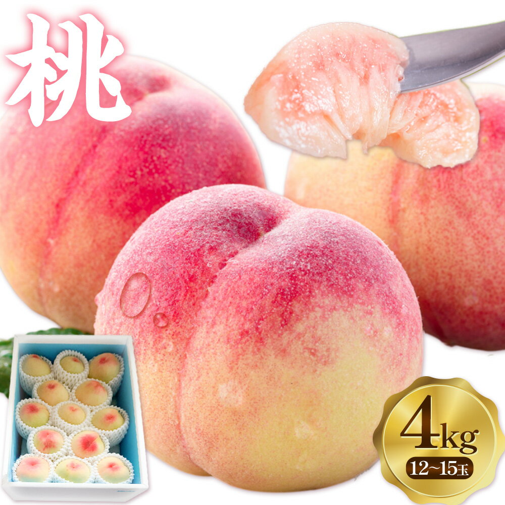 【ふるさと納税】桃 4kg(12-15玉) まるえい農園《6月下旬-7月下旬頃出荷予定(土日祝除く)》和歌山県 紀の川市 もも モモ 果物 フルーツ