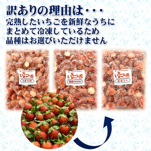 まるは食堂 マルハリゾート いちごの丘 『訳あり』完熟 冷凍いちご 1kg ｜ 訳あり いちご イチゴ 冷凍 　1kg 国産 完熟 スムージー ジャム ヨーグルト シャーベット デザート アイス おや