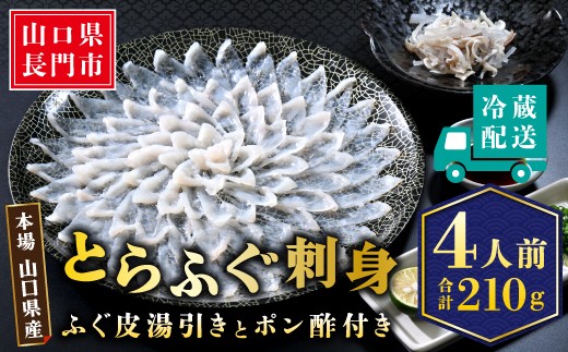 
            とらふぐ 刺身 4人前（冷蔵）【ふぐ刺し 冷蔵 ふぐさし ふぐ刺身 ふぐ皮 ふぐ 刺身 てっさ 国産 とらふぐ 宴会 板前 ポン酢 薬味 家族 山口県 配送日指定可能 日時指定可能 】
          
