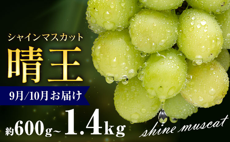 
            ぶどう シャインマスカット 晴王 600g 700g 1.2kg 1.4kg 1房 2房 彩美菜果《9月上旬-11月中旬頃出荷》 マスカット 送料無料 岡山県 浅口市 フルーツ 果物 贈り物 国産 岡山県産 くだもの 果物 青果物 9月～10月発送 【配送不可地域あり】
          
