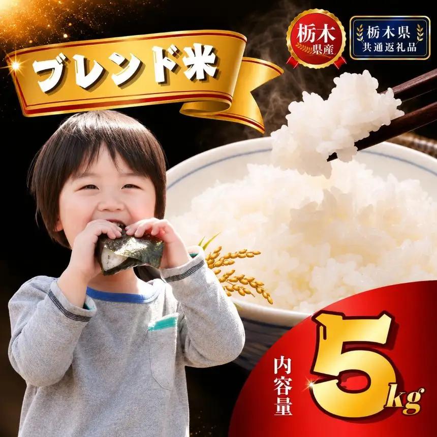 栃木県産 ブレンド米（5kg）【栃木県共通返礼品 栃木県産】AB | 栃木県 下野市
