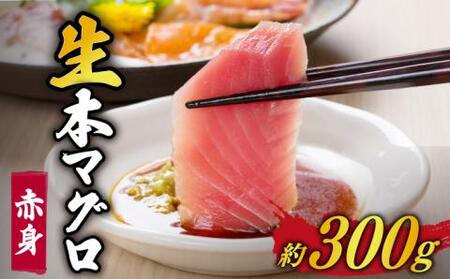 五島列島産養殖生本かみマグロ 赤身300g マグロ まぐろ 鮪 刺身 【カミティバリュー】[RBP001] 本マグロ 本まぐろ 本マグロ 本まぐろ 本マグロ 本まぐろ 本マグロ 本まぐろ 本マグロ 本まぐろ