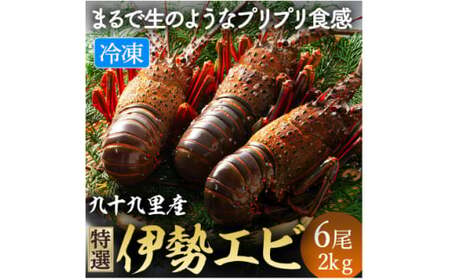 伊勢海老 リキッド凍結伊勢海老 刺身用 6尾 約2kg 九十九里 ｴﾋﾞ ｴﾋﾞ ｴﾋﾞ ｴﾋﾞ ｴﾋﾞ ｴﾋﾞ伊勢海老 伊勢海老 伊勢海老 