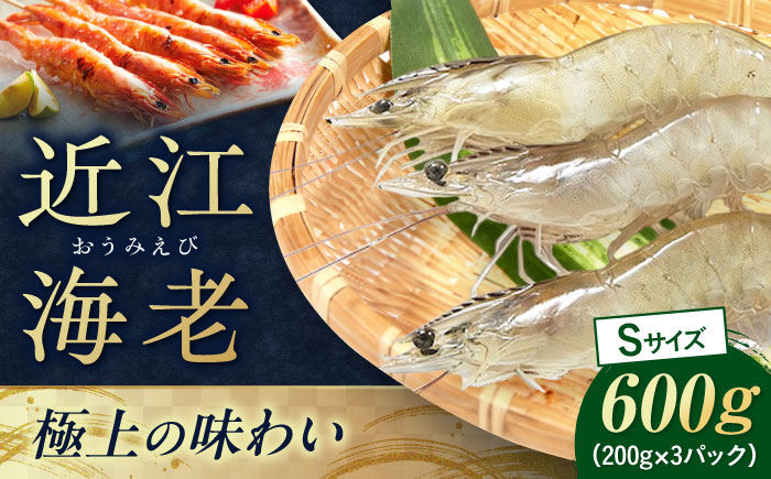 
                  近江海老 Sサイズ 600g 滋賀県長浜市/ワボウ電子株式会社 [AQBA009]  エビ 海老 えび 海鮮 魚介類 魚貝類 魚介 下処理不要 冷凍 業務用 小分け 国産 刺身 刺し身  近江海老 新鮮 ぷりぷり 甘い 刺身 天ぷら 海鮮丼 鍋料理 海老しゃぶ 魚介 贈答用 人気 料理素材 お取り寄せ 丸ごと
                