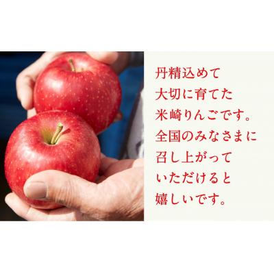 ふるさと納税 陸前高田市 【旬のりんごをお届け!】 米崎りんご 約3kg 品種おまかせ ★大和田果樹園★ 旬 りんご |  | 03