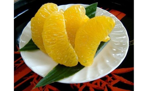 和歌山由良町産さつきはっさく 約10kg ［訳あり ご家庭用 赤秀・青秀］サイズ混合  ［SL42］