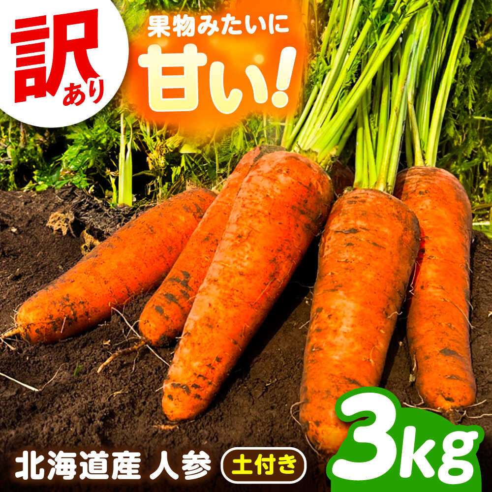 【ふるさと納税】北海道 訳ありにんじん 3kg（土付き）《足寄町》【餌取農場】 北海道産 甘い 訳あり 人参 野菜 根菜 ニンジン 3kg 道産 糖度高め サラダ ジュース ジュース用 旬 土付き お取り寄せ 生鮮野菜 保存 栄養 あしょろ 足寄 [BEBA004]