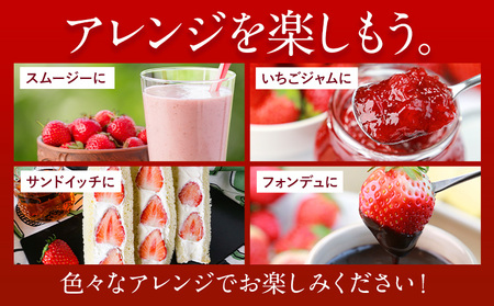 いちご あまおう1080g (約270g×4パック) 苺 送料無料 【着日指定不可】《2024年3月末-4月末頃出荷》 イチゴ 果物 フルーツ 福岡県 鞍手郡 小竹町