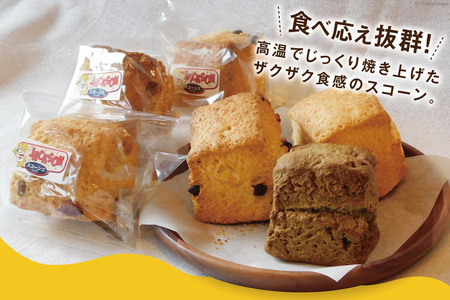 ザクザク！ スコーン 6種類 各1個