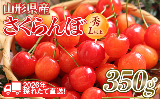 FYN6-254 ≪2026年先行予約≫山形県産 さくらんぼ 品種おまかせ(佐藤錦・紅秀峰など) 350g 秀/L以上 バラパック詰め 2026年6月中旬頃より発送 果物 くだもの フルーツ 夏果実 サクランボ チェリー 桜桃 高級 化粧箱 ギフト箱 贈り物 贈答 ギフト プレゼント 自宅 家庭 産地直送 山形県 西川町 月山