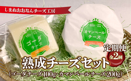 【定期便2回】熟成チーズセット（ ゴーダチーズ100g・カマンベールチーズ200g）