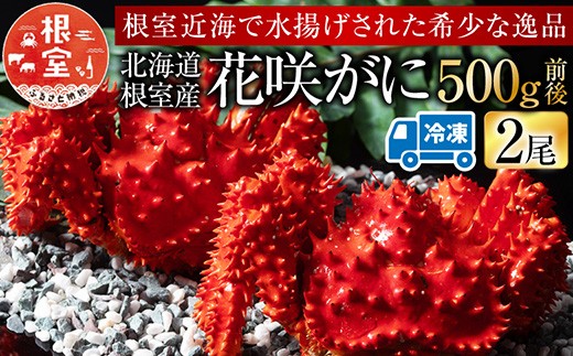 G-54002 【北海道根室産】花咲がに500g前後×2尾